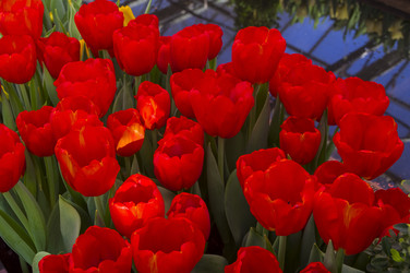 Similar image 21317157