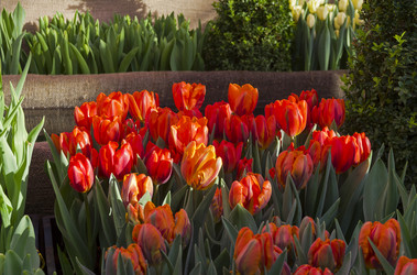 Similar image 21317158