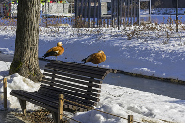 Similar image 21317159