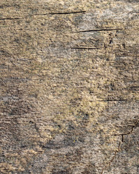 Similar image 21318245