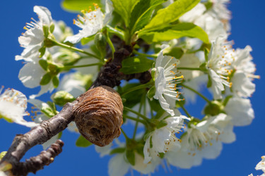 Similar image 21318246