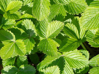 Similar image 21318248