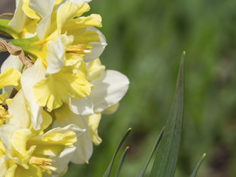 Similar image 21318249