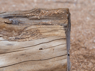 Similar image 21318250