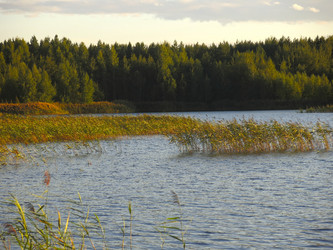 Similar image 21320078