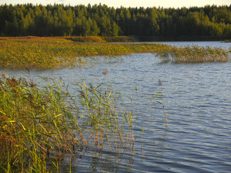 Similar image 21320079