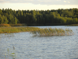 Similar image 21320081