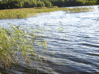 Similar image 21320097