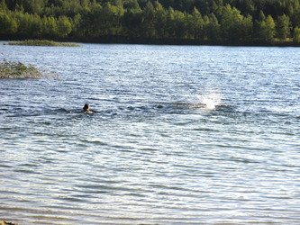 Similar image 21320101