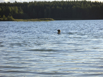 Similar image 21320107