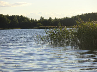 Similar image 21320108