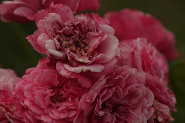 Similar image 21320227