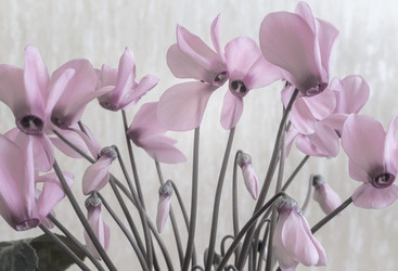 Similar image 21336141