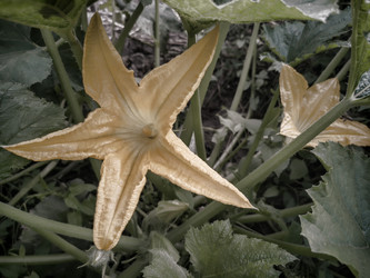 Similar image 21336143