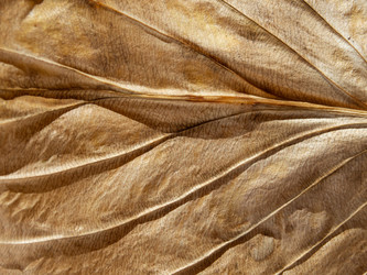 Similar image 21320694