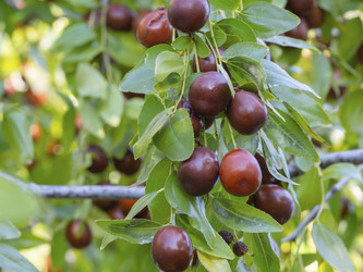 Similar image 21320698