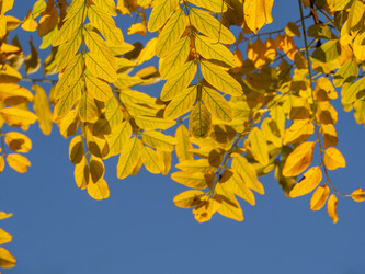 Similar image 21320701