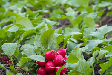 Similar image 21320708