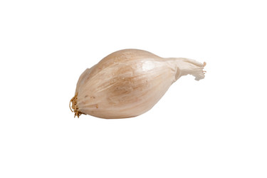 Similar image 21320709