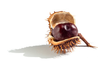 Similar image 21320710