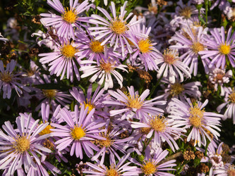 Similar image 21320712