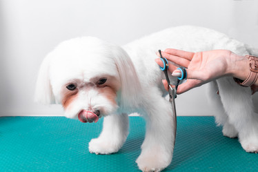 Similar image 21319547