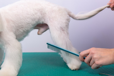 Similar image 21319551