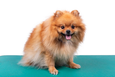 Similar image 21320027