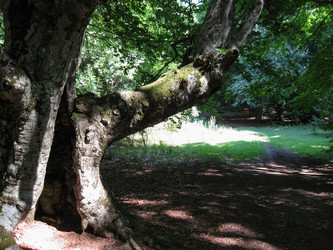 Similar image 21321470