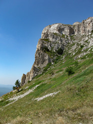 Similar image 21320403