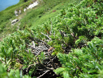 Similar image 21321473