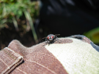 Similar image 21321286