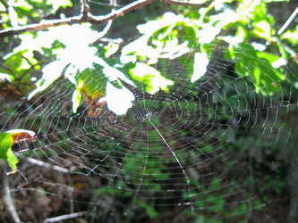 Similar image 21321287