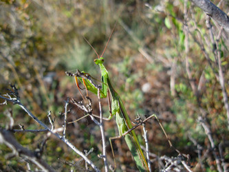 Similar image 21321288