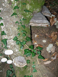 Similar image 21320411