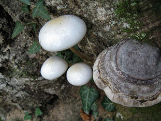 Similar image 21320412