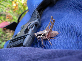 Similar image 21320413