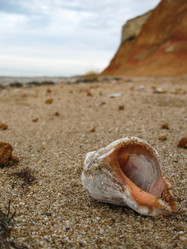 Similar image 21321289