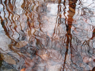 Similar image 21321293