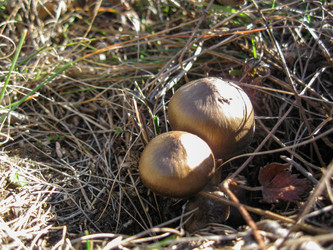 Similar image 21320415