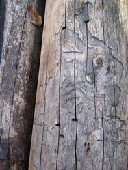 Similar image 21321296