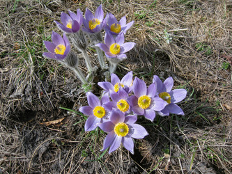 Similar image 21320416