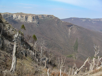 Similar image 21320417