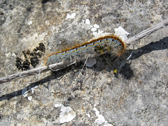 Similar image 21320418