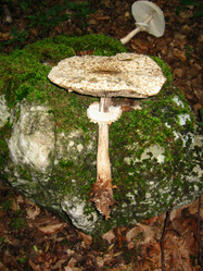 Similar image 21320577