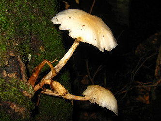 Similar image 21320578