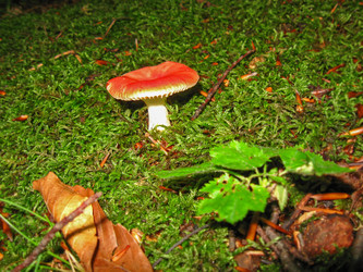 Similar image 21320579