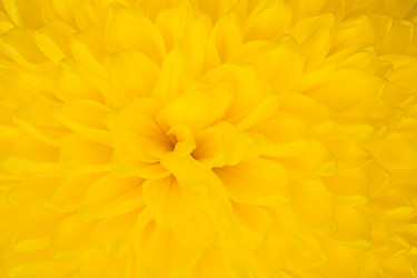 Similar image 21327159