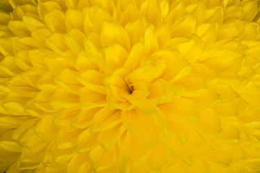 Similar image 21327160