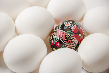 Similar image 21327161